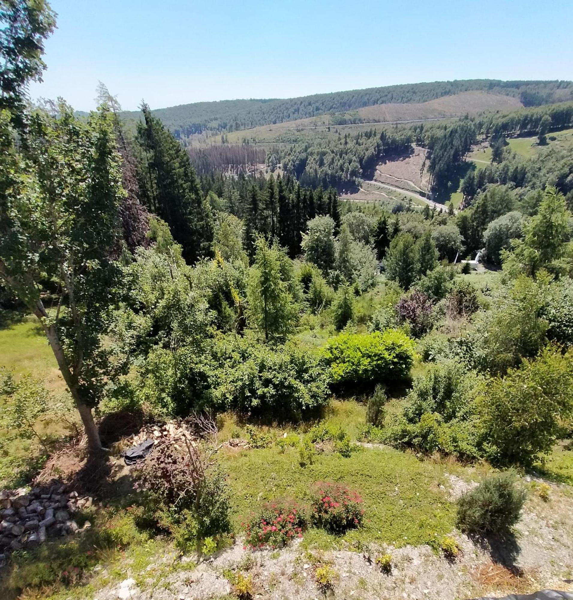Landhotel Fernsicht Βίντερμπεργκ Εξωτερικό φωτογραφία
